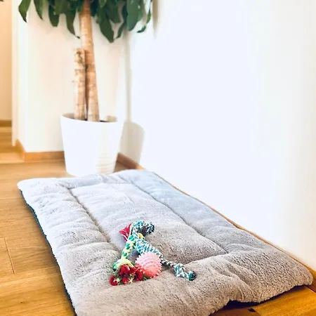 Frida By Da Alois غوربمينغ