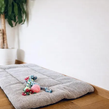 Frida By Da Alois شقة *